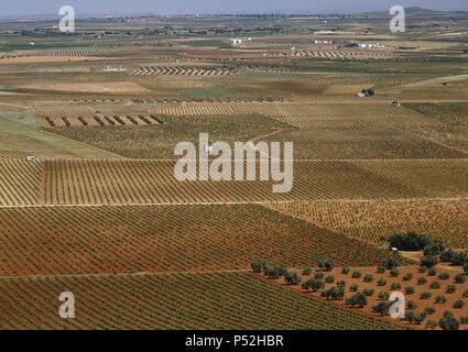 Panorámica del PAISAJE AGRICOLA en los alrededores de la localidad de Las Tablas. Estado de Ciudad Real. Kastilien-la Mancha. España. Stockfoto