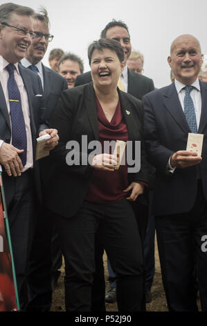 Der Schottischen Konservativen besucht einen Fotoauftrag Mohn zu Pflanzen, ein Garten der Erinnerung an diejenigen, die im Kampf gestorben sind, zu erstellen. Mit: Ruth Davidson Wo: Edinburgh, Großbritannien Wann: 24. Mai 2018 Credit: Euan Kirsche / WANN Stockfoto