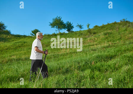 Seitenansicht der alte Mann Wandern mit Stöcken in die Berge. Tragen weiße Poloshirt mit dunkelblauen Streifen, schwarze Hose, Turnschuhe. Cardioexercises draußen an der frischen Luft. Sport Lifestyle. Stockfoto