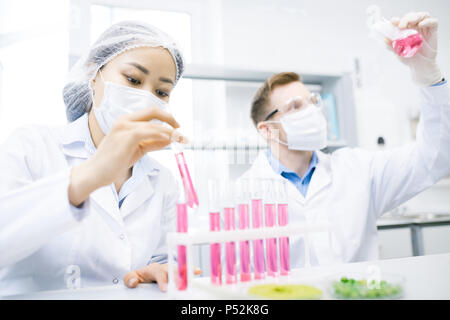 Mikrobiologen Prüfung Fleisch Proben in flüssiger Form Stockfoto