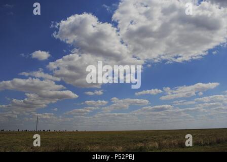 Ukraine. Die autonome Republik Krim. Landschaft bei Jevpatoria. Stockfoto