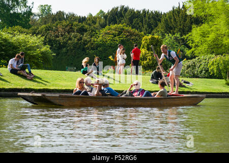 Menschen auf Punt Boot punting on the River Cam als Leute sitzen neben ihm an einem sonnigen Nachmittag, Cambridge, Großbritannien Stockfoto