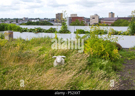 In Rotterdam, Niederlande, Dachterasse Stockfoto