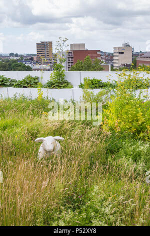 In Rotterdam, Niederlande, Dachterasse Stockfoto