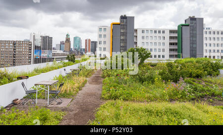 In Rotterdam, Niederlande, Dachterasse Stockfoto