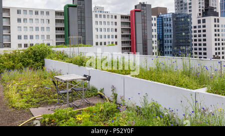 In Rotterdam, Niederlande, Dachterasse Stockfoto