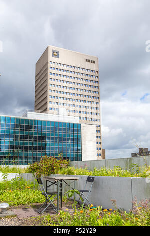 In Rotterdam, Niederlande, Dachterasse Stockfoto