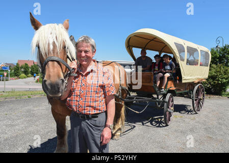 Juni 30, 2015 - Ungersheim, Frankreich: Jean-Claude Mensch, der Bürgermeister von Ungersheim, wirft mit der kommunalen Pferd, "Richelieu", die verwendet wird, um die Kinder in die Schule zu transportieren. Die kleinen elsässischen Dorf Ungersheim (Einwohner: 2000) als die grünste Dorf in Frankreich wegen seiner verschiedenen umwelt-freundliche Initiativen: Bau einer Solaranlage, die Nutzung von städtischen landwirtschaftlichen Flächen lokale Bio-Lebensmittel, Pferdetransport für Schulkinder zu fördern, frei von Pestiziden Grünflächen, eco-Unterbringung, Holzheizung, etc. Ungersheim ist Teil der Transition Network, einer internationalen Stockfoto