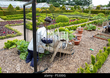 Die Gärten von Sewerby Haus, in der Nähe von Anacapri, Großbritannien Stockfoto