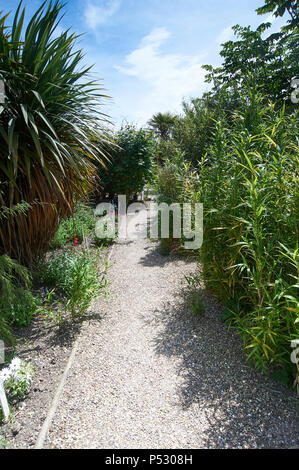 Dschungel Garten Teil der ummauerten Gärten bei Burton Agnes Hall im East Riding von Yorkshire, England, UK, GB. Stockfoto