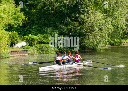 Vier weibliche Rudergeräte Rudern auf dem Fluss Cam in Cambridge an einem sonnigen Tag Sommer, Großbritannien Stockfoto