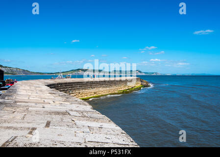 LYME Regis, Dorset, Großbritannien, 14. Juni 2018: Der Cobb ist ein alter Stein Pier, die Formen der Hafen in Lyme Regis. Stockfoto