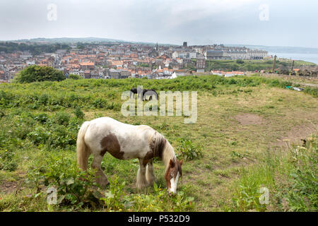 Whitby, England, Großbritannien Stockfoto