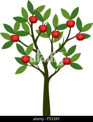 Apple Tree mit roten Apfel Früchte. Vector Illustration. Stock Vektor