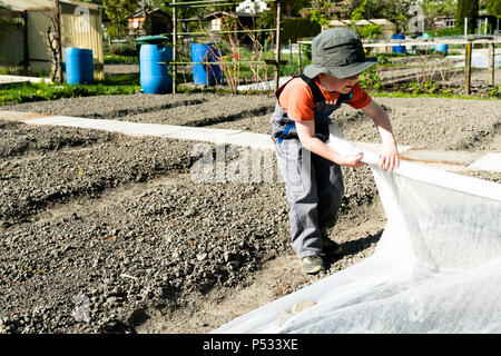 Junge blonde Junge deckt einen Gemüsegarten mit weißem Vlies Stockfoto