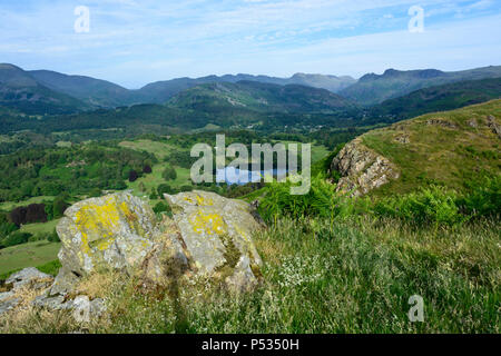 Anzeigen von Ivy Crag, Loughrigg über loughrigg Tarn in Richtung Langdale Pikes, Loughrigg fiel, Ambleside, Lake District, Cumbria, England Stockfoto