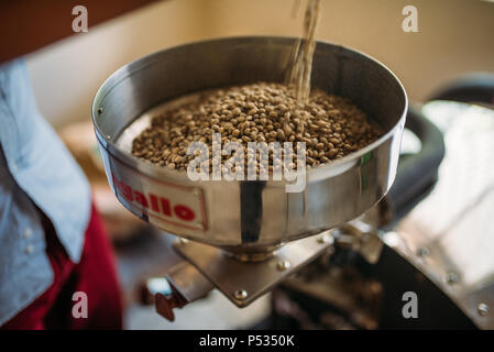 Professionelle Kaffeeröstung und Tests mit Hand in Kolumbien Stockfoto