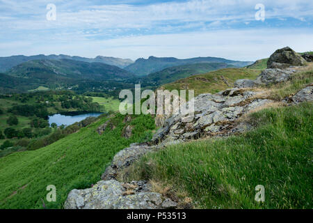 Anzeigen von Ivy Crag, Loughrigg über loughrigg Tarn in Richtung Langdale Pikes, Loughrigg fiel, Ambleside, Lake District, Cumbria, England Stockfoto