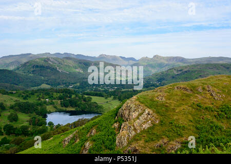 Anzeigen von Ivy Crag, Loughrigg über loughrigg Tarn in Richtung Langdale Pikes, Loughrigg fiel, Ambleside, Lake District, Cumbria, England Stockfoto