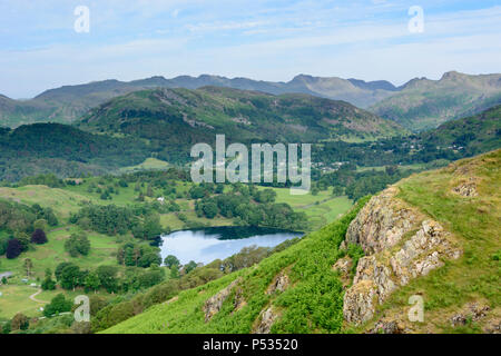 Anzeigen von Ivy Crag, Loughrigg über loughrigg Tarn in Richtung Langdale Pikes, Loughrigg fiel, Ambleside, Lake District, Cumbria, England Stockfoto