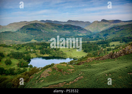 Anzeigen von Ivy Crag, Loughrigg über loughrigg Tarn in Richtung Langdale Pikes, Loughrigg fiel, Ambleside, Lake District, Cumbria, England Stockfoto