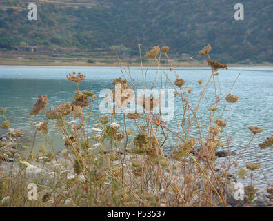 Lago di Venere in Pantelleria Stockfoto