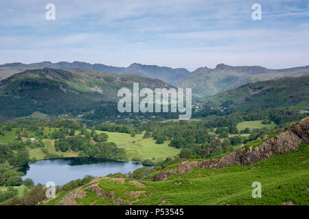 Anzeigen von Ivy Crag, Loughrigg über loughrigg Tarn in Richtung Langdale Pikes, Loughrigg fiel, Ambleside, Lake District, Cumbria, England Stockfoto