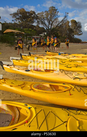 Kajak an der Coles Bay auf der Freycinet Halbinsel Stockfoto