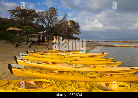 Kajak an der Coles Bay auf der Freycinet Halbinsel Stockfoto