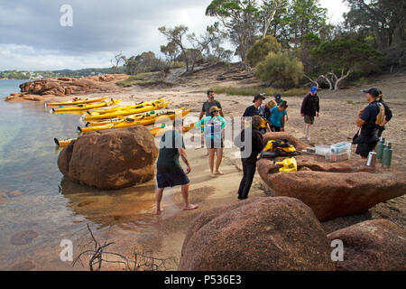 Gruppe von kajakfahrer auf Honeymoon Bay im Freycinet National Park Stockfoto