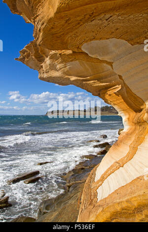 Die lackierten Klippen auf Maria Island Stockfoto