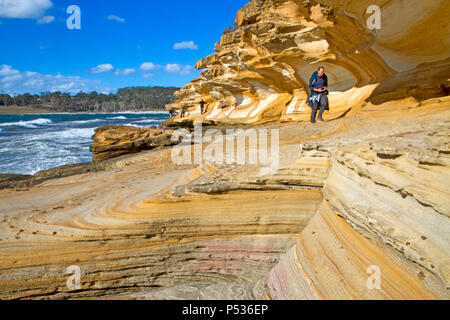 Die lackierten Klippen auf Maria Island Stockfoto