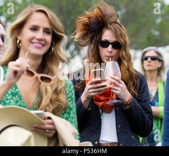 Die Ebenen, Virginia/USA -5-19-17: Frau blickt auf ihr Telefon und Getränke während der Virginia Gold Cup. Stockfoto