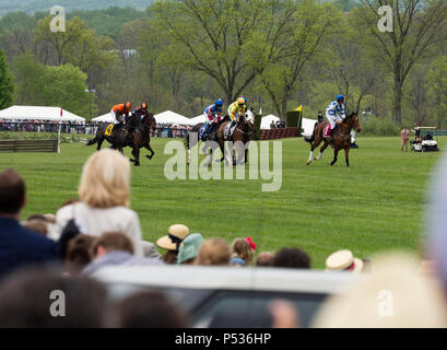 Die Ebenen, Virginia/USA -5-19-17: Menge Uhren Pferde in einem Rennen auf dem Virginia Gold Cup. Stockfoto