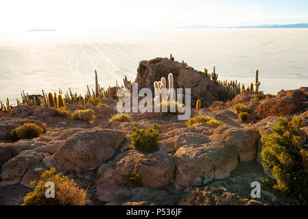 Sonnenuntergang beleuchtet Kaktus Island, auch als die Insel bekannt (Isla del Pescado) im Salar de Uyuni, Bolivien. Stockfoto