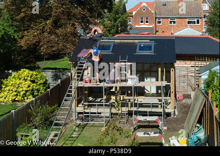 Bauherren ein großer in einem Gartenhaus Stockfoto