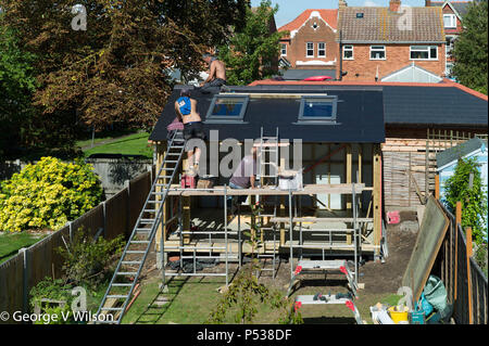 Bauherren ein großer in einem Gartenhaus Stockfoto