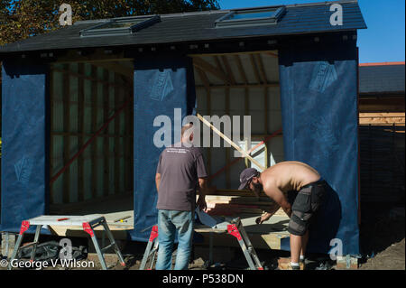 Bauherren ein großer in einem Gartenhaus Stockfoto