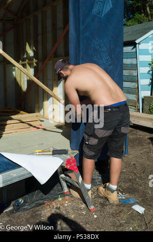 Bauherren ein großer in einem Gartenhaus Stockfoto