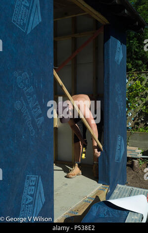 Bauherren ein großer in einem Gartenhaus Stockfoto