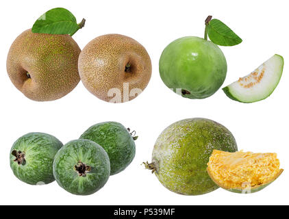 Sammlung von exotischen Früchten auf weißem Hintergrund Stockfoto