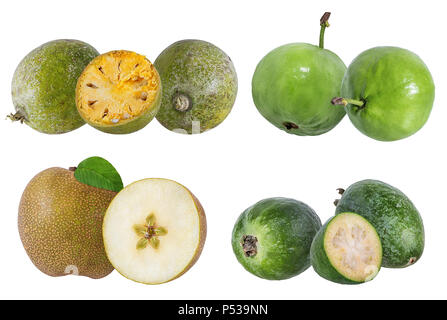 Sammlung von exotischen Früchten auf weißem Hintergrund Stockfoto