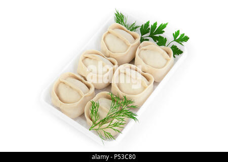 Frisch Gefroren Halbzeuge. Manty mit Fleisch. Das Produkt ist auf Kunststoff potdtons verpackt. Auf weissem Hintergrund isolieren. Stockfoto