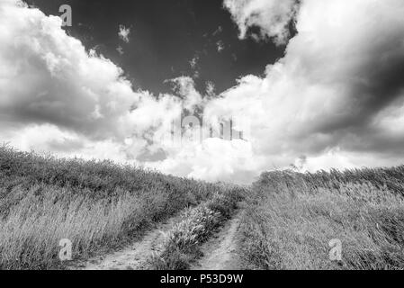 Landschaft Landschaften im Val d'Agri, Basilicata, Italien Stockfoto