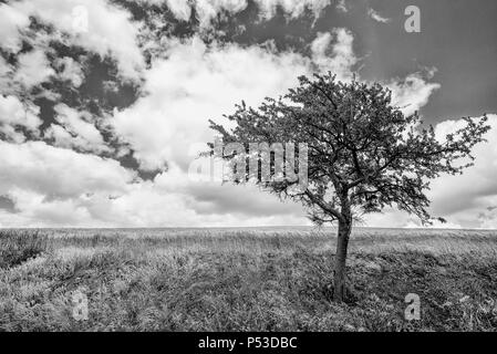 Landschaft Landschaften im Val d'Agri, Basilicata, Italien Stockfoto