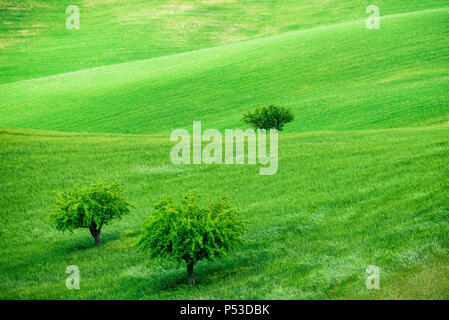 Landschaft Landschaften im Val d'Agri, Basilicata, Italien Stockfoto