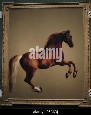 George Stubbs (1724-1806). Englischer Maler. Whistlejacket (C. 1762). Öl auf Leinwand. National Gallery. London. England. UK. Stockfoto