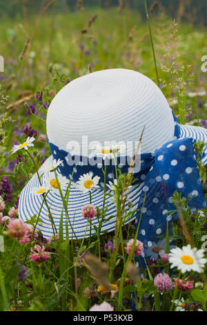 Sommer Konzept: Wilde Kamille und Hut auf einem Feld Stockfoto