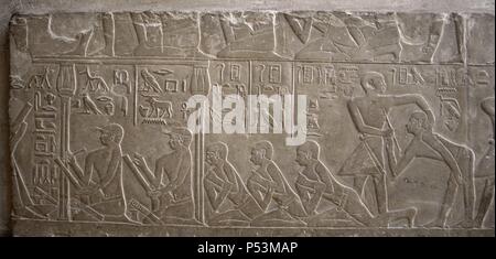 Ägypten. Nekropole von Sakkara. Mastaba des Mereruka, Priester des Pharao Teti.  2.340 v. Chr. Relief Darstellung Schreiber. 6. Dynastie. Altes Königreich. Stockfoto