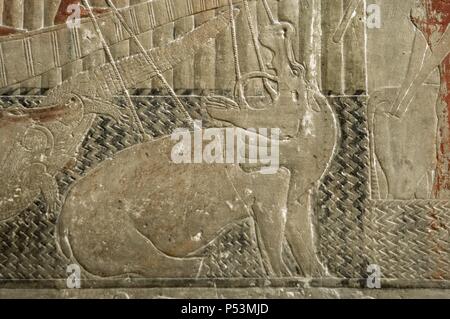 Ägypten. Sakkara. Mastaba des Ti. Relief mit Jagdszene. Detail der Nilpferd-Jagd. Detail. 5. Dynastie. Altes Königreich. Stockfoto